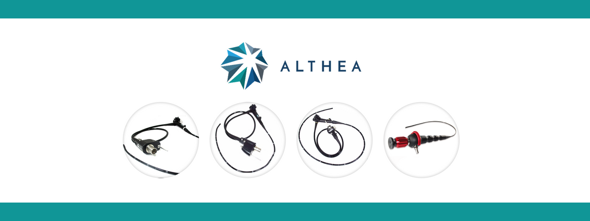 Althea