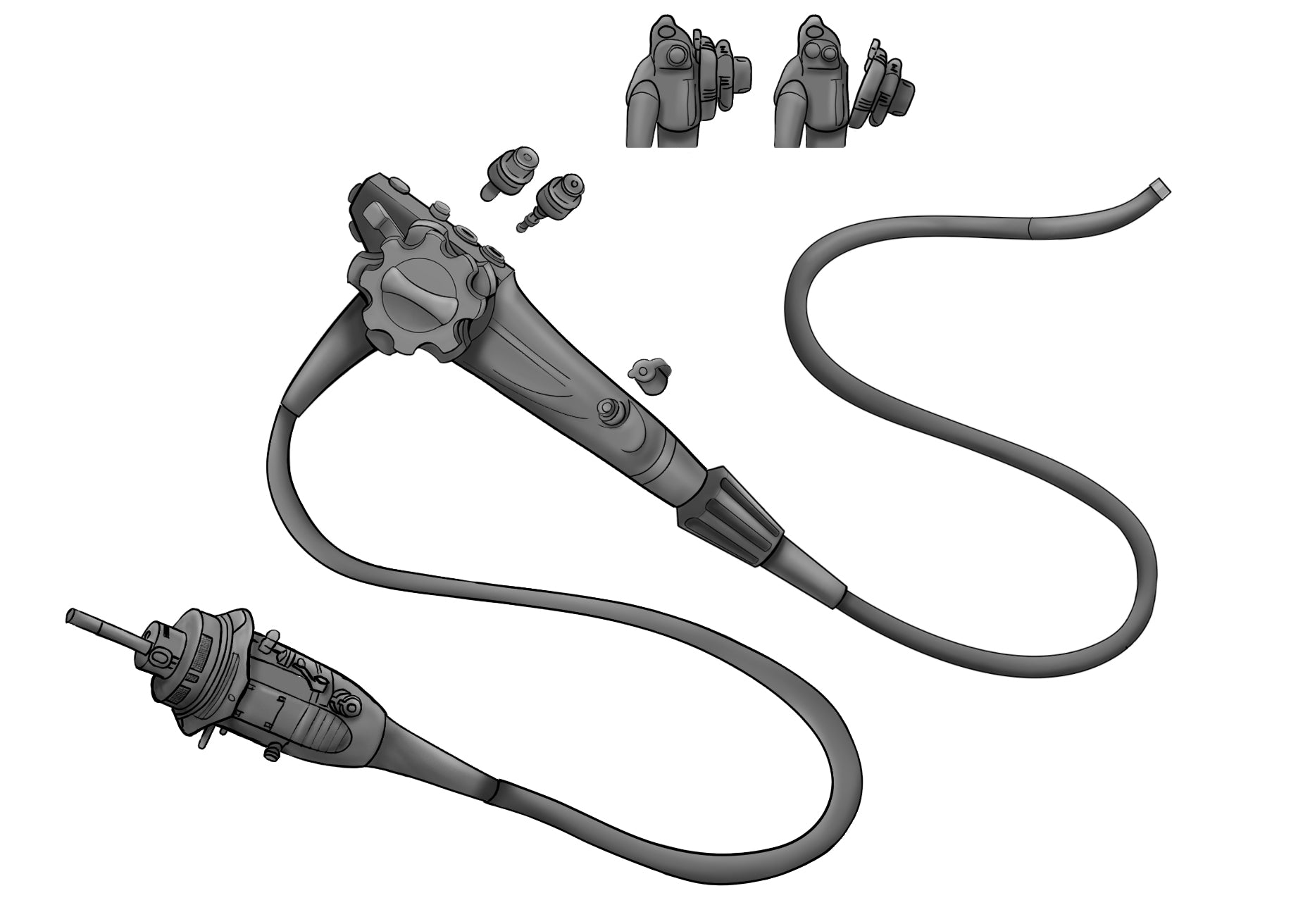 Anatomie van een flexibele endoscoop